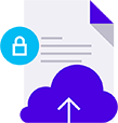 network_icon